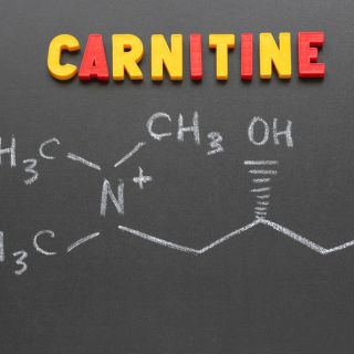 Carnitina